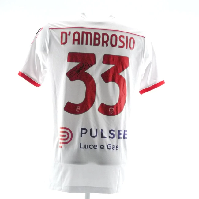 cover image of the auction item