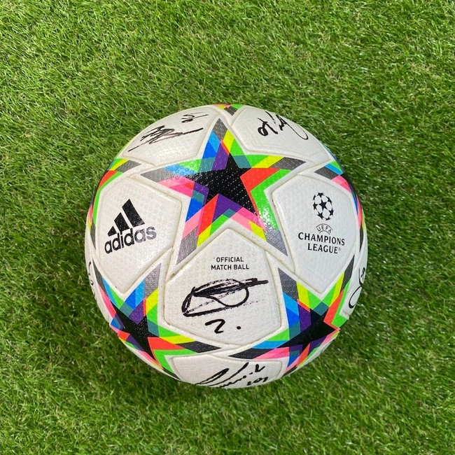 cover image of the auction item