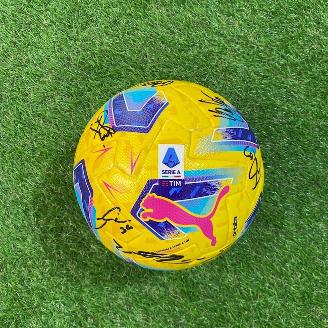 cover image of the auction item