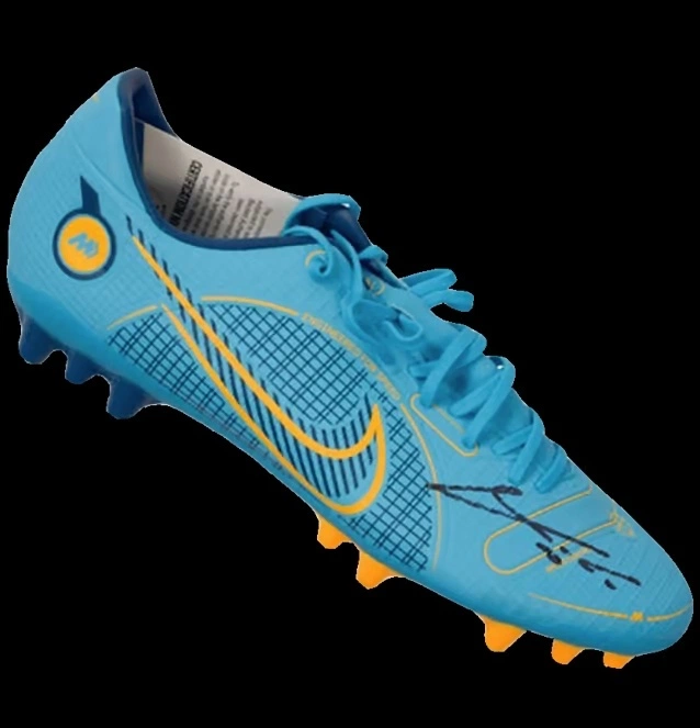 cover image of the auction item