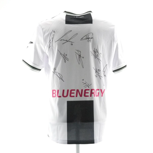 cover image of the auction item