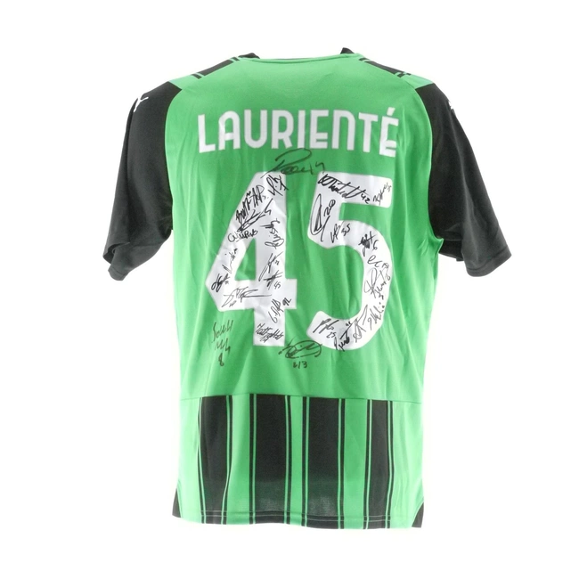 cover of the auction item