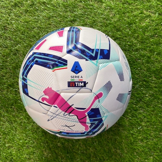 cover image of the auction item