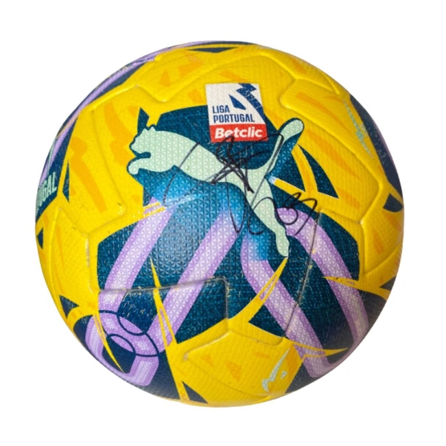 cover image of the auction item