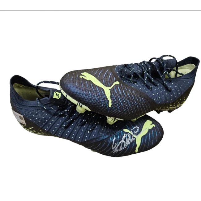 cover image of the auction item