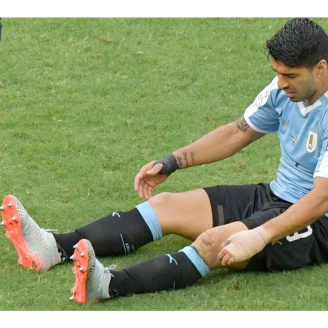 cover image of the auction item