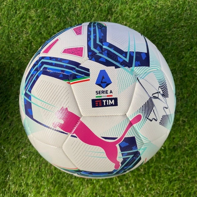 cover image of the auction item