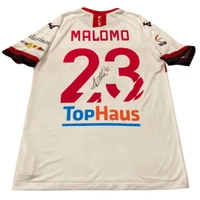 cover image of the auction item