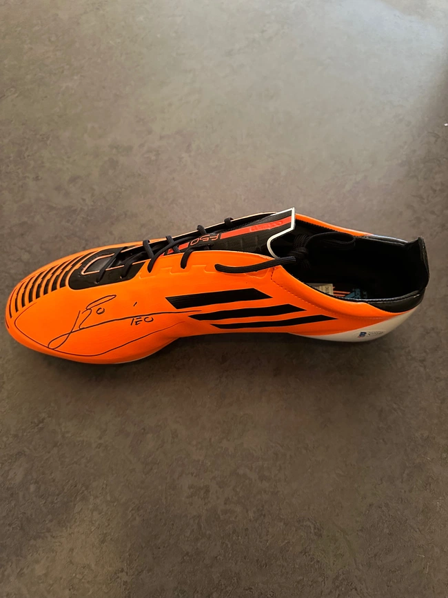 cover image of the auction item