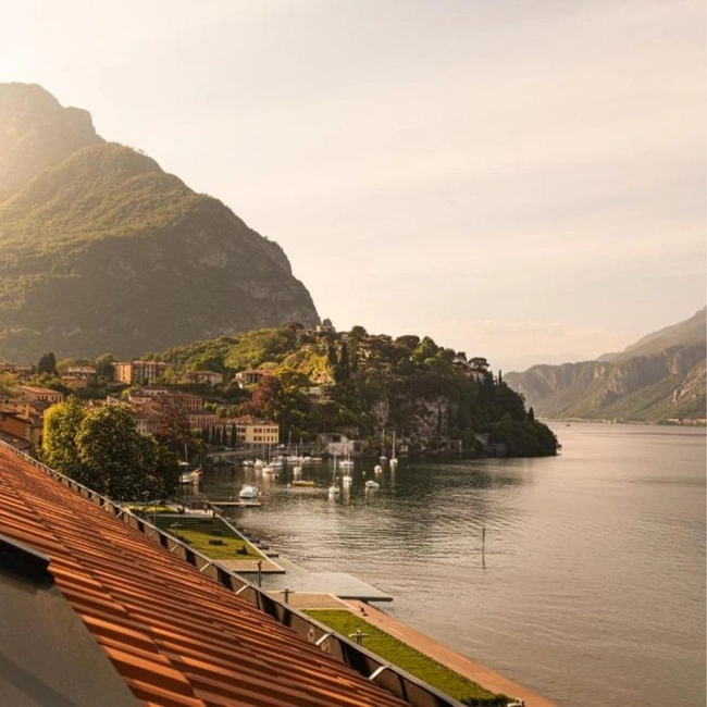 cover image of the auction item