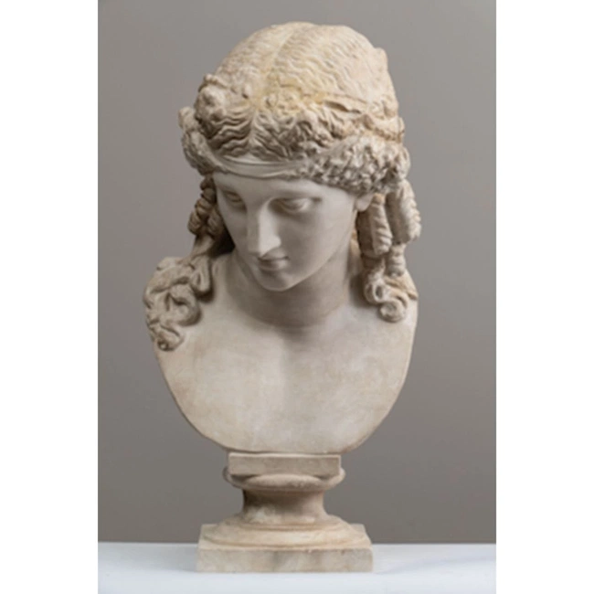 cover image of the auction item