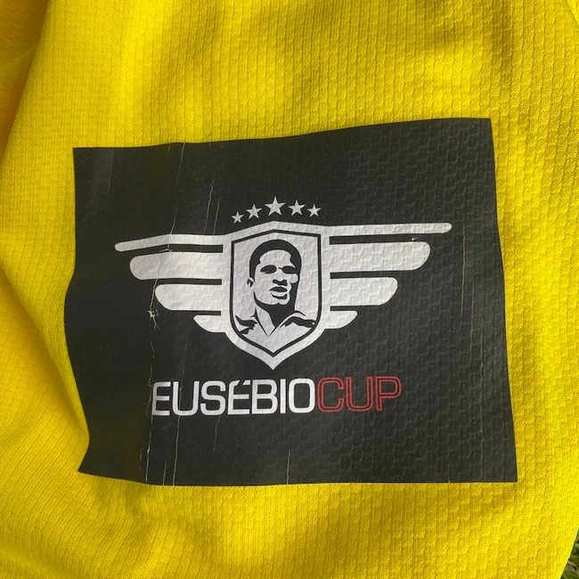 cover image of the auction item