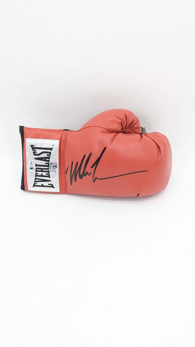 cover image of the auction item