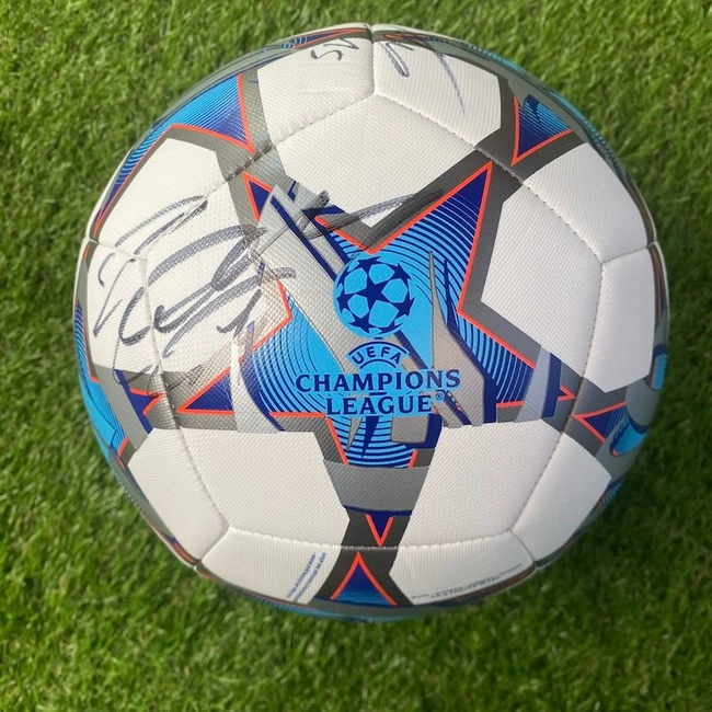 cover image of the auction item