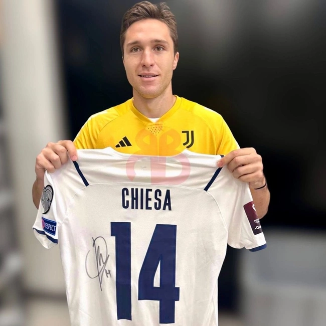 cover image of the auction item