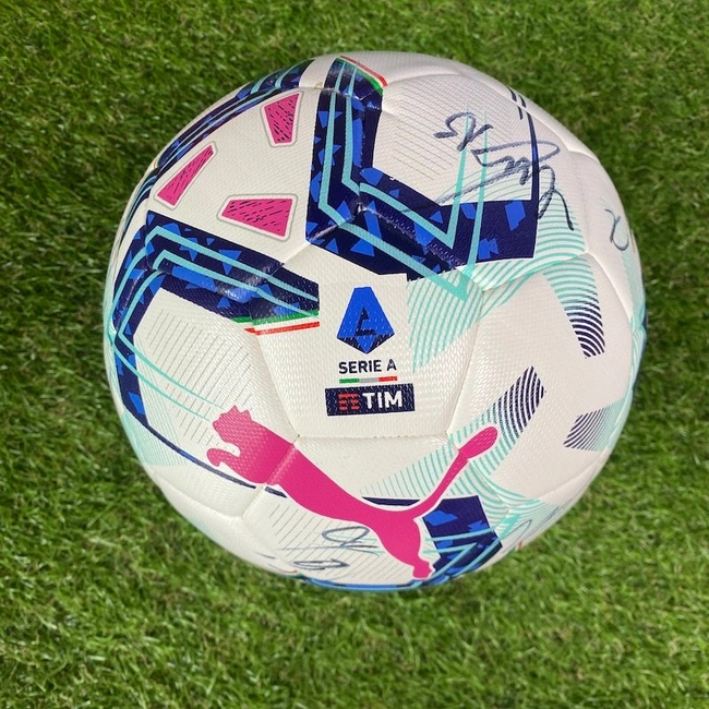 cover image of the auction item