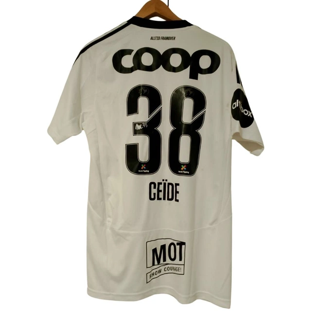 cover of the auction item