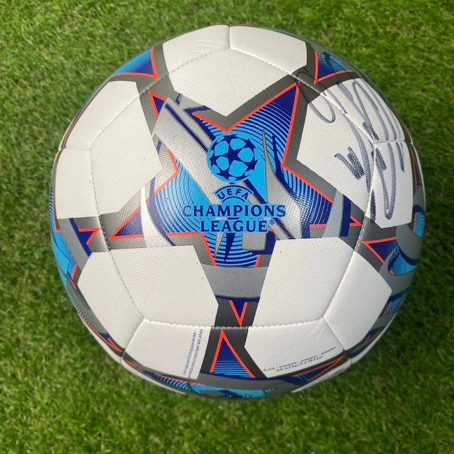 cover image of the auction item