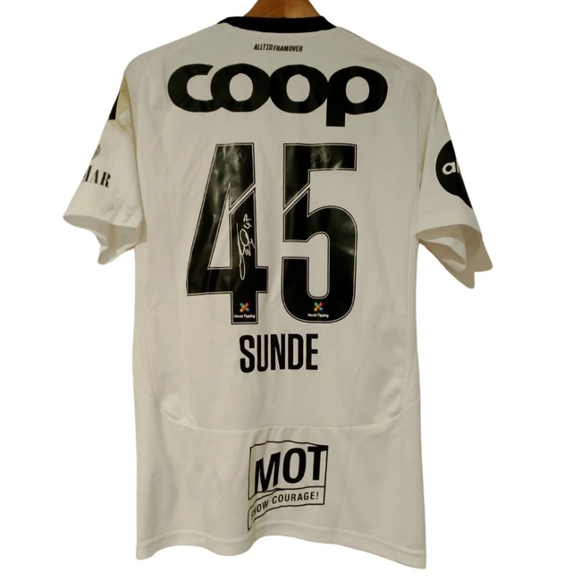 cover of the auction item