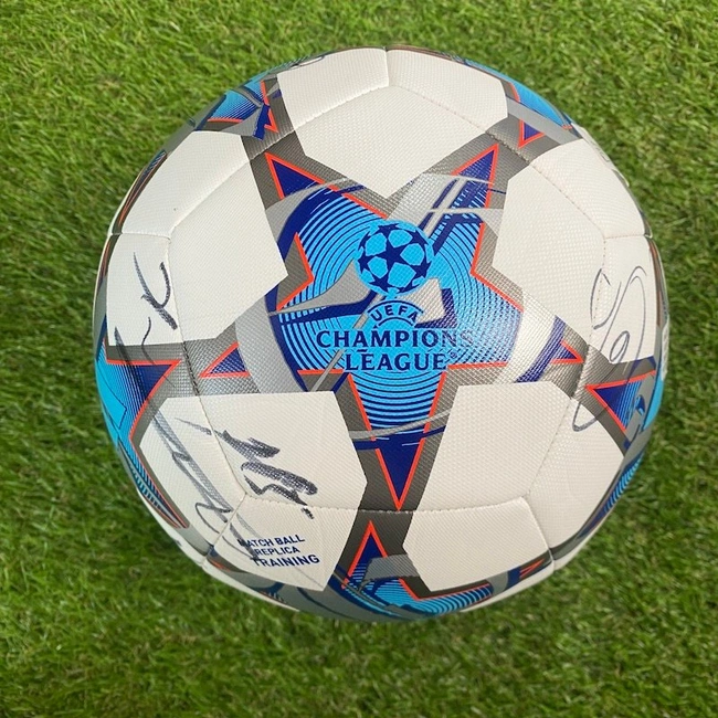 cover image of the auction item