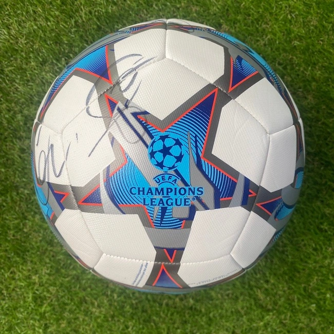 cover image of the auction item