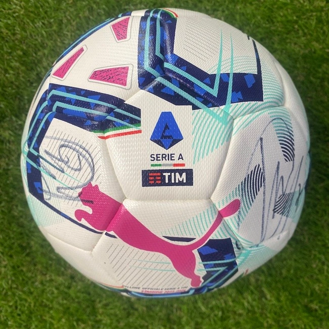 cover image of the auction item