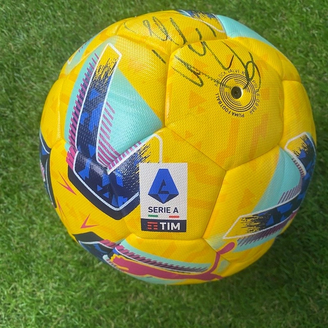 cover image of the auction item