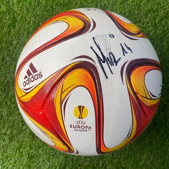 cover image of the auction item