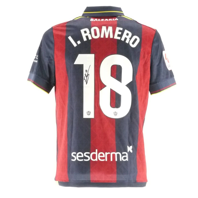 cover image of the auction item