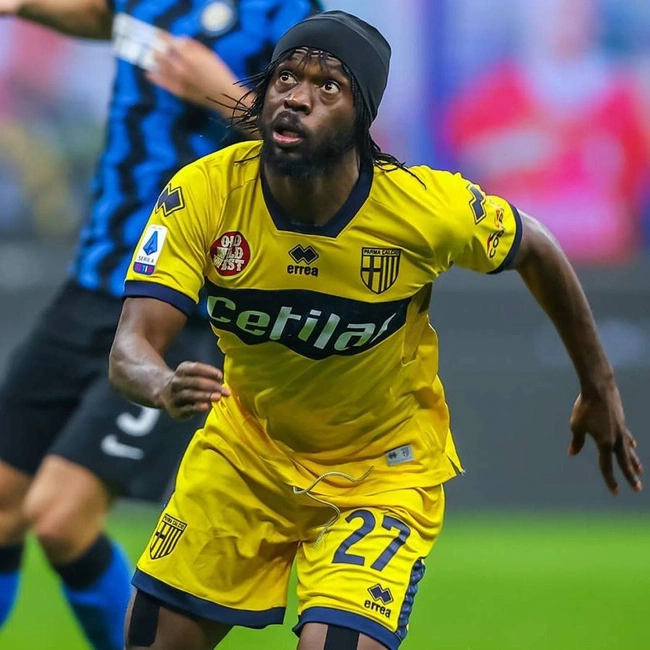 cover image of the auction item