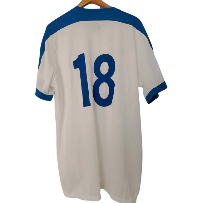 cover of the auction item