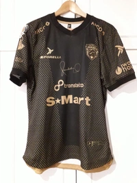 cover image of the auction item