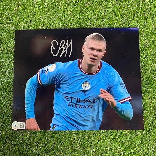 cover image of the auction item