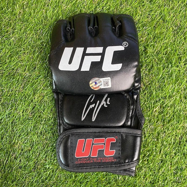 cover image of the auction item