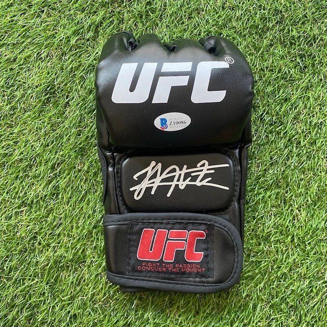 cover image of the auction item