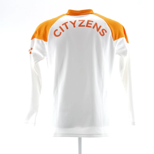 cover image of the auction item