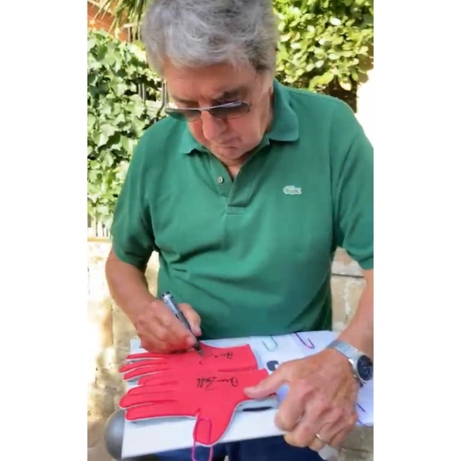 cover image of the auction item