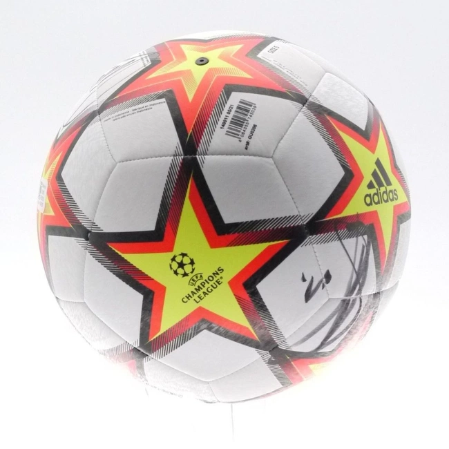 cover image of the auction item