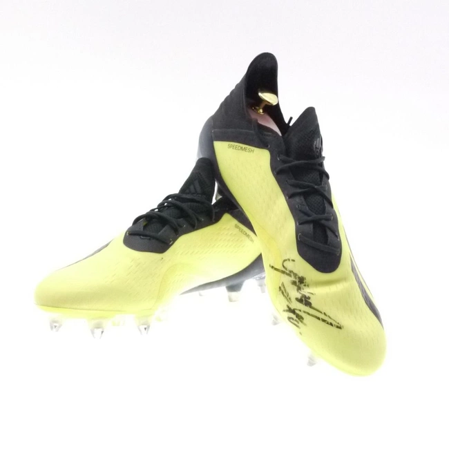 cover image of the auction item