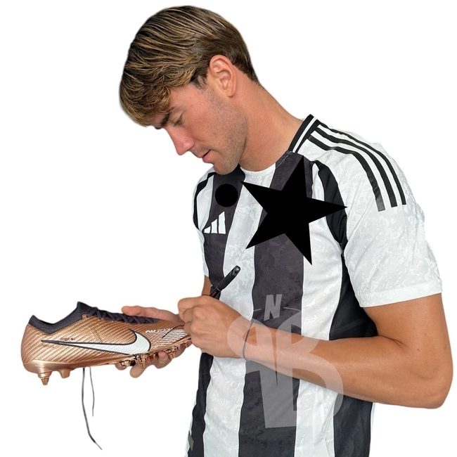 cover image of the auction item