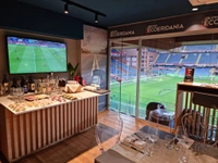 cover image of the auction item