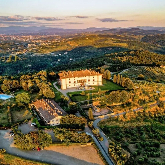 cover image of the auction item