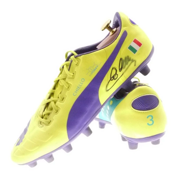 cover image of the auction item