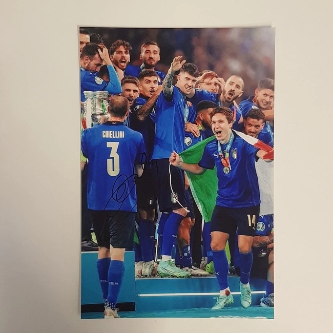 cover image of the auction item