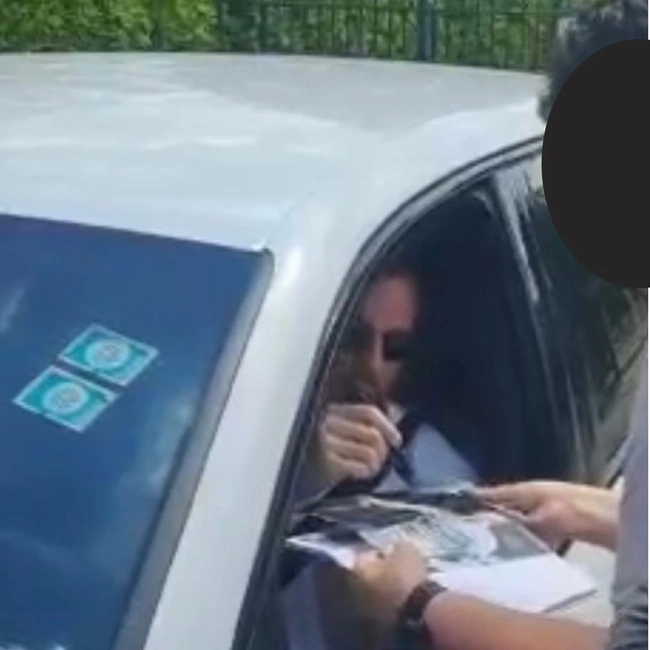 cover image of the auction item