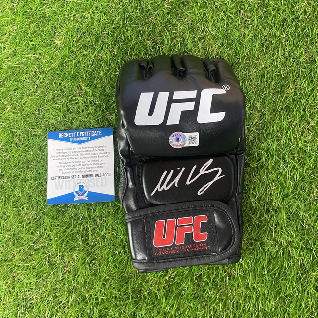 cover image of the auction item