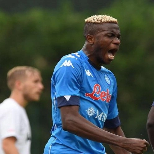 cover image of the auction item