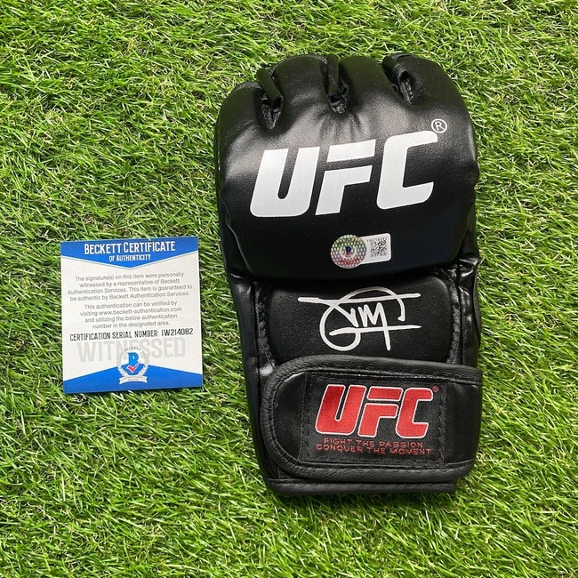 cover image of the auction item