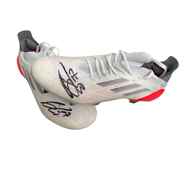 cover image of the auction item