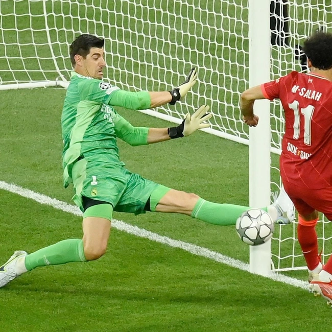 cover of the auction item